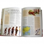 Szkolna Encyklopedia Ilustrowana wyd. Olesiejuk