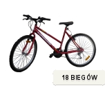 Rower górski  26'' NSS 1100 Longway Damski Czerwony