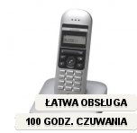 Telefon bezprzewodowy Swissvoice Avena 109 Srebrny 