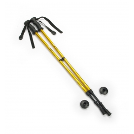 Kije trekkingowe BatSport T102