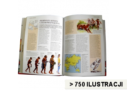Szkolna Encyklopedia Ilustrowana wyd. Olesiejuk